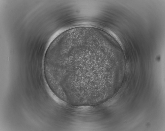 X0000089951482200707271829