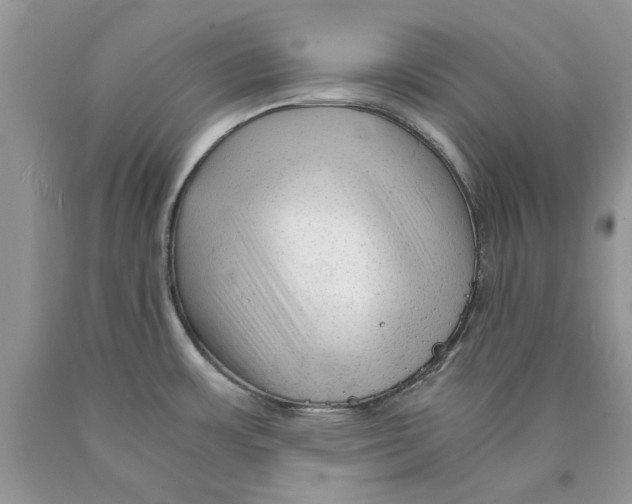 X0000089951483200707271829