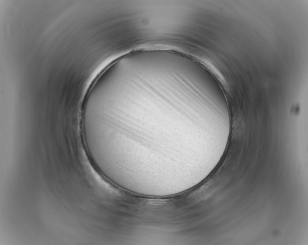 X0000089951484200707271829