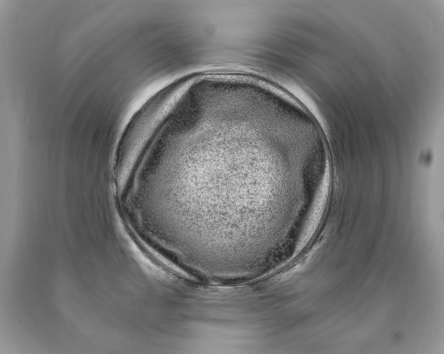 X0000089951485200707271829