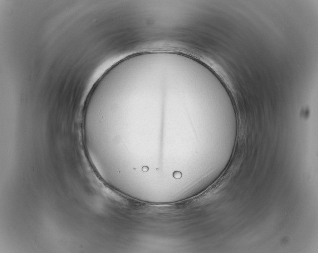 X0000089951486200707271829