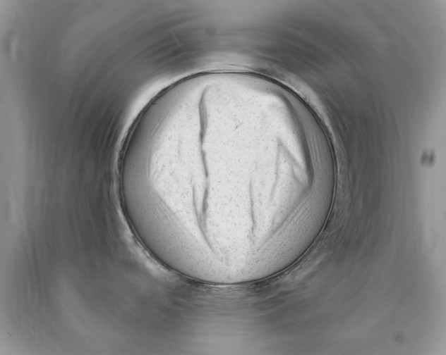 X0000089951488200707271829