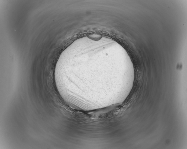 X0000089951489200707271828