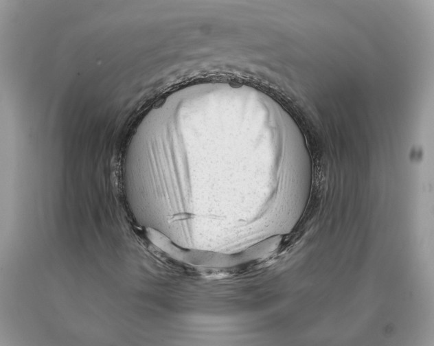 X0000089951490200707271828