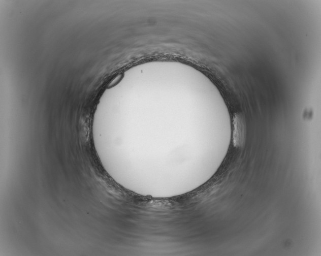 X0000089951491200707271828