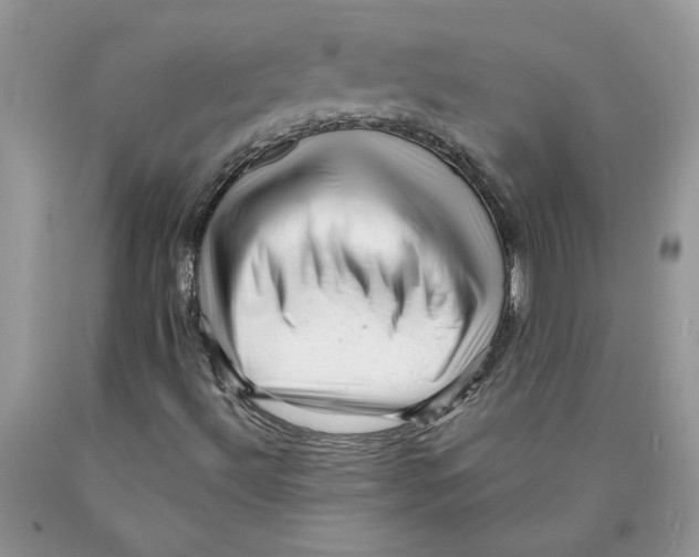 X0000089951492200707271828