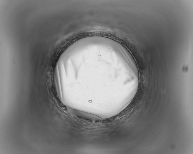 X0000089951493200707271828