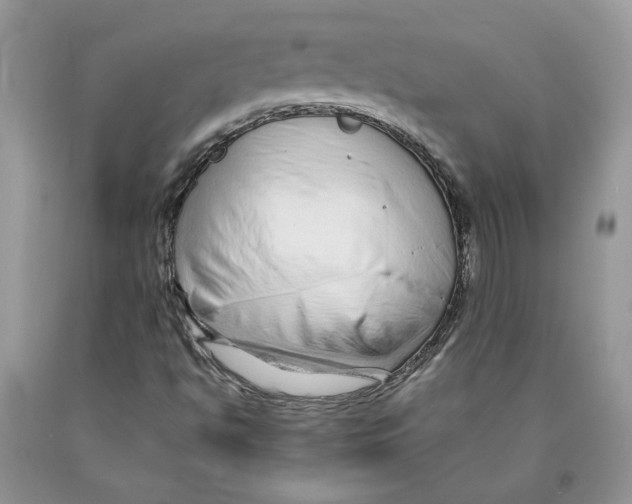 X0000089951494200707271828