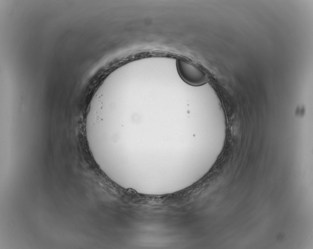 X0000089951495200707271828