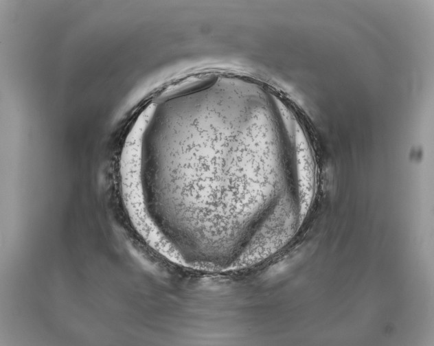 X0000089951496200707271828