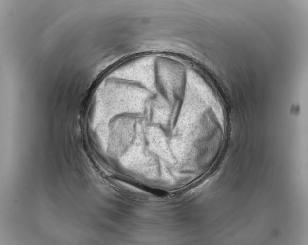 X0000089951497200707271828