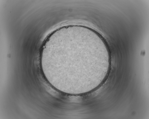 X0000089951498200707271828