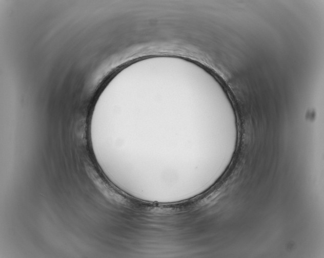 X0000089951499200707271828