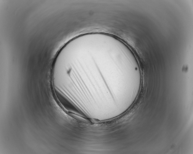 X0000089951500200707271828