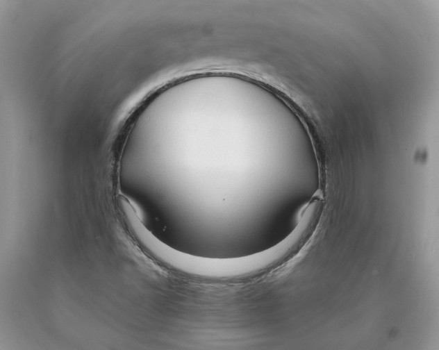 X0000089951502200707271828