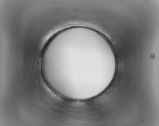 X0000089951503200707271828