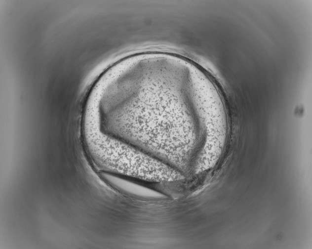 X0000089951504200707271828