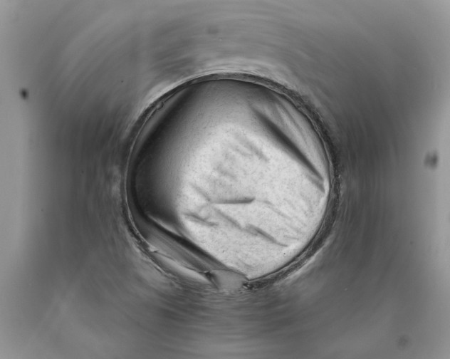 X0000089951505200707271828