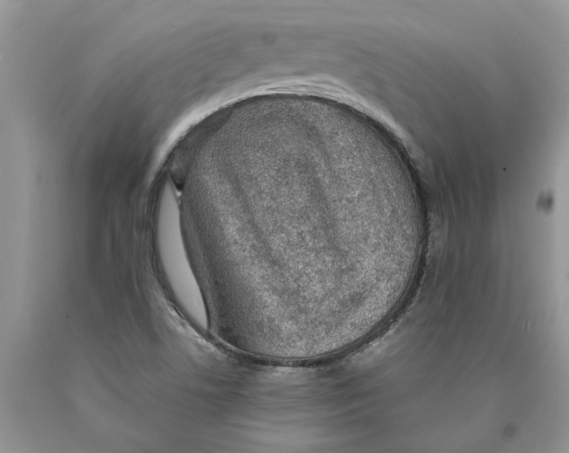 X0000089951506200707271828