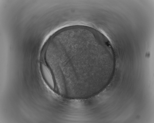 X0000089951508200707271828