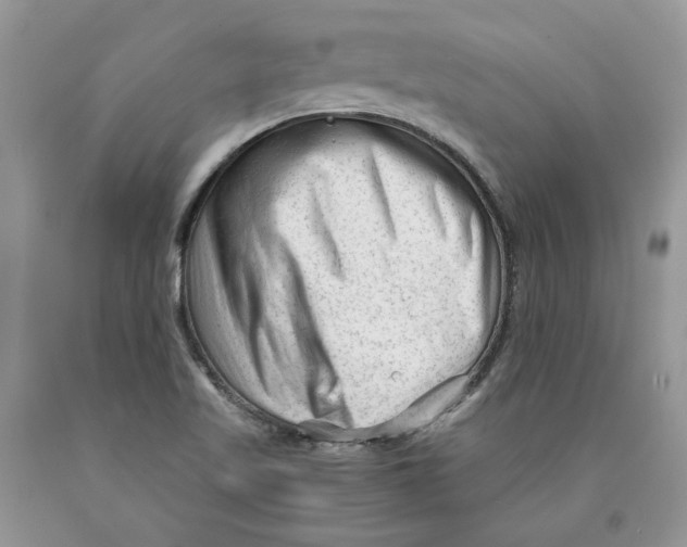 X0000089951509200707271828