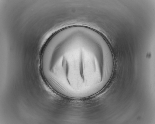 X0000089951511200707271828