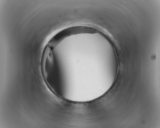 X0000089951512200707271828