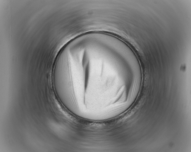 X0000089951513200707271828