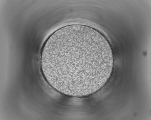 X0000089951514200707271828