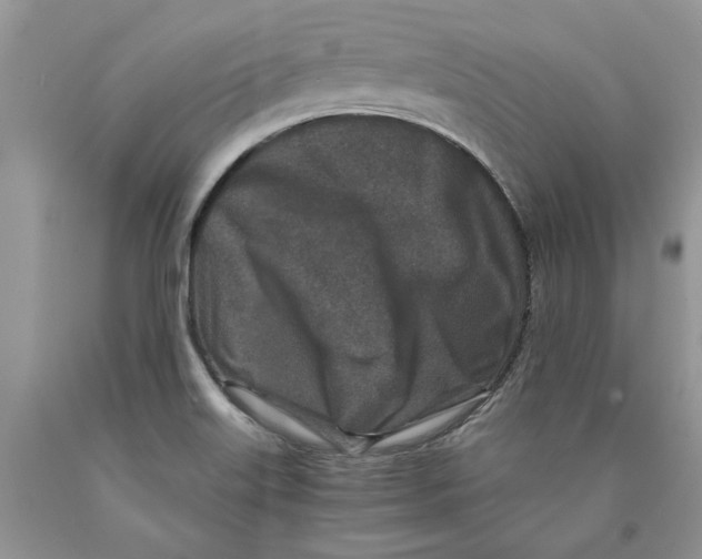 X0000089951515200707271828