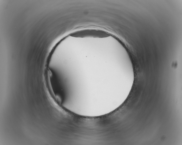 X0000089951518200707271828