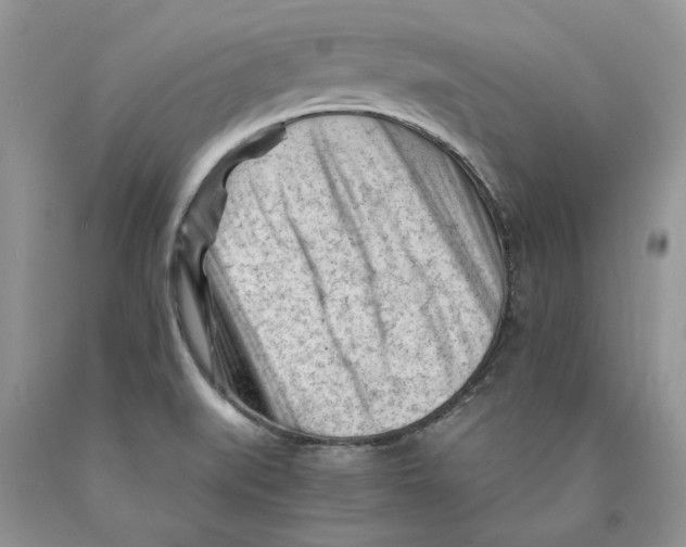 X0000089951519200707271828