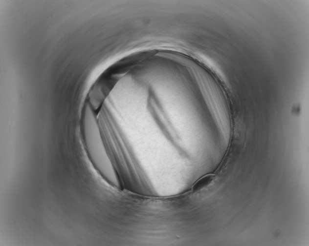 X0000089951520200707271828