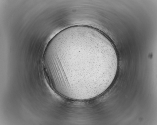 X0000089951521200707271829