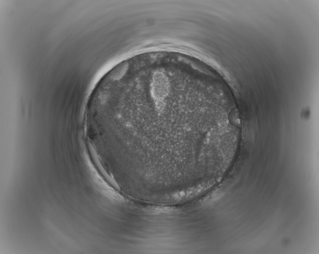 X0000089951522200707271829