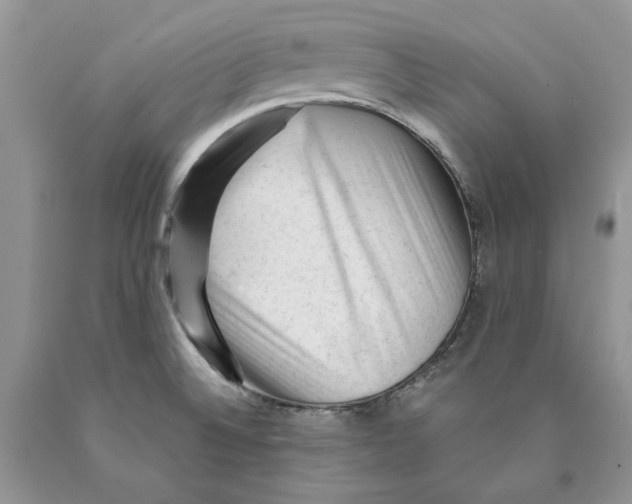 X0000089951524200707271829