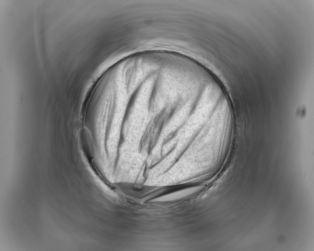 X0000089951525200707271829