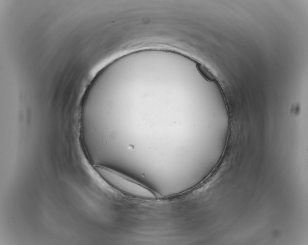 X0000089951526200707271829