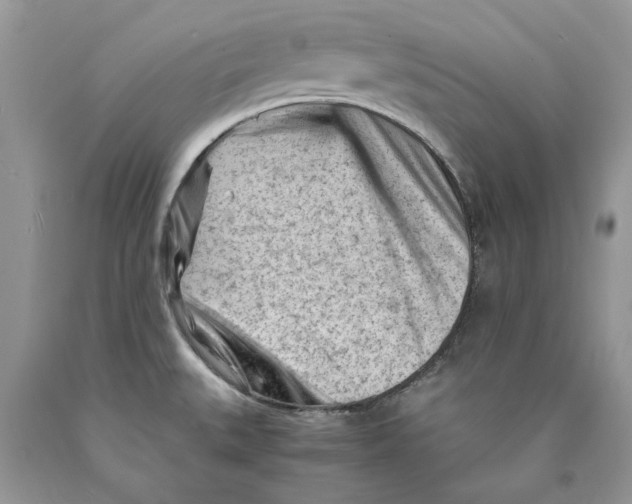 X0000089951527200707271829