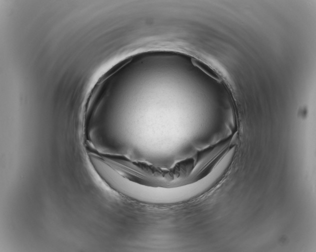 X0000089951528200707271829