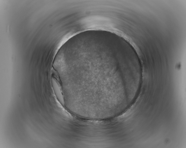 X0000089951529200707271829