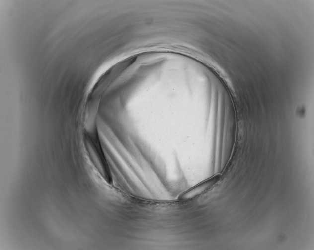 X0000089951530200707271829