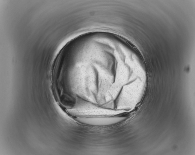 X0000089951531200707271829