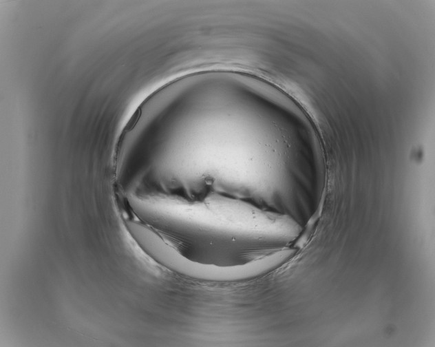 X0000089951532200707271829