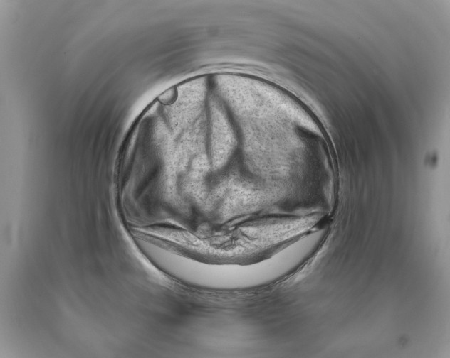 X0000089951533200707271829