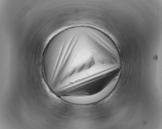 X0000089951534200707271829