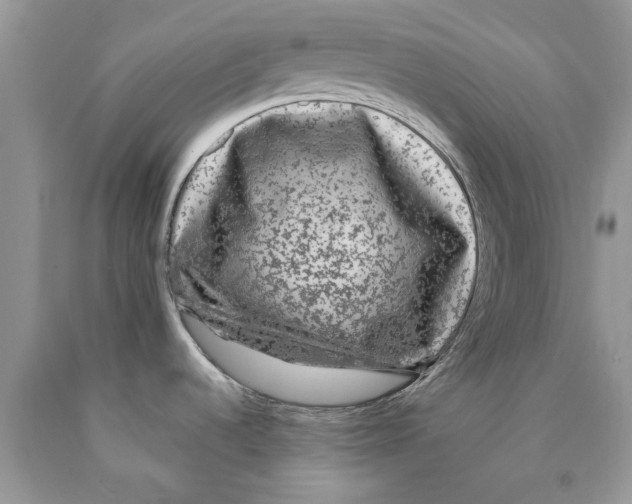 X0000089951536200707271829