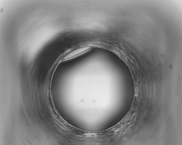 X0000089960052200706290910