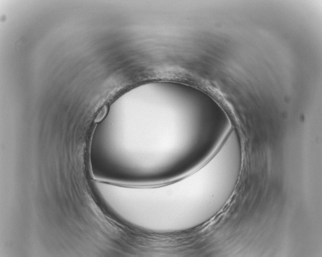 X0000089960154200706290909