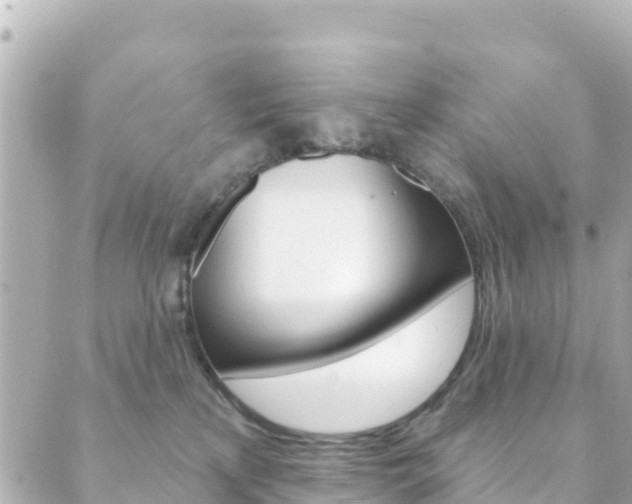 X0000089960233200706290908